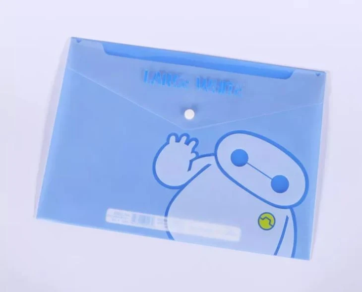 Clear Document Holder