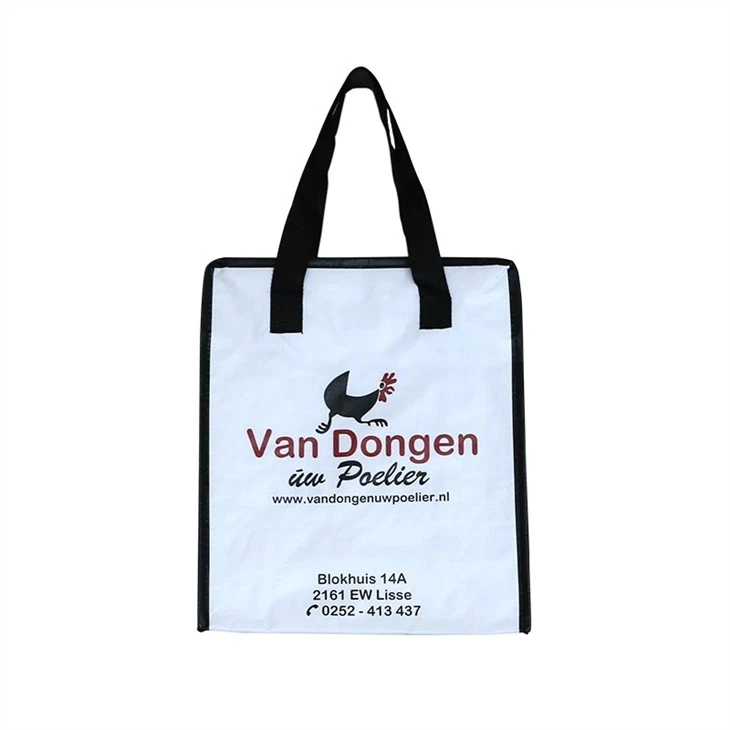 Laminated Pp Woven Cooler Bag